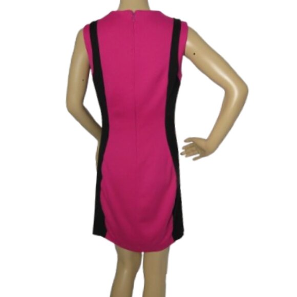 Cynthia Steffe Colour Block Sheath Dress - Picture 4 of 7